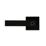 Negro#Color_Negro