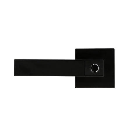 Negro#Color_Negro
